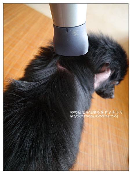 吹毛