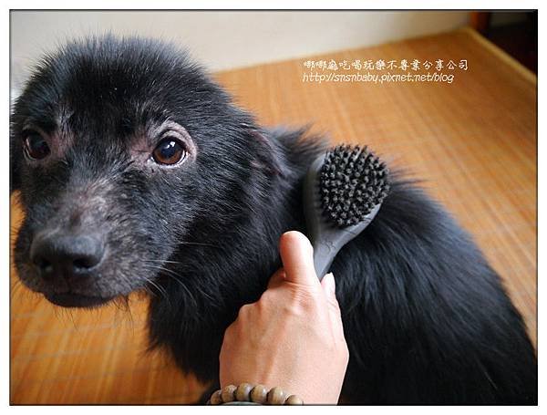 梳毛