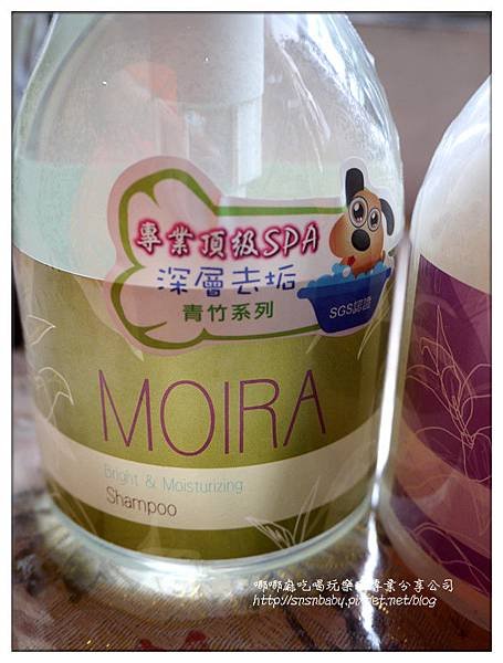 幽靜青竹前面