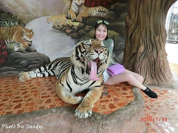 CIMG6261_结果.JPG