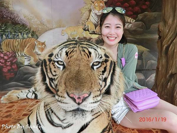 CIMG6265_结果.JPG