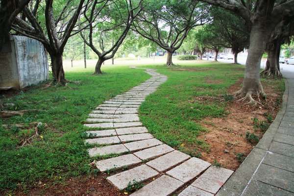 環校道路與竹湖間