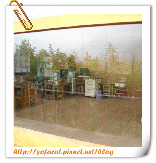 DSCN0308.JPG