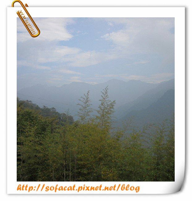 DSCN0310.JPG