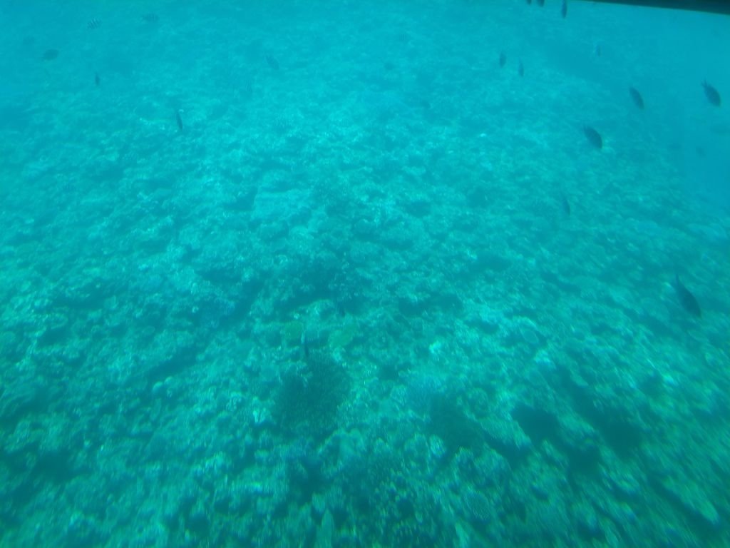IMG_20190425_093429.jpg