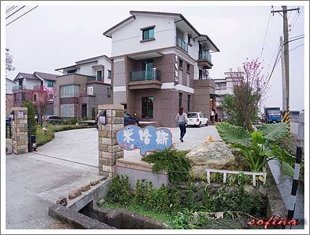 IMGP1399.jpg