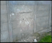 3129991_3be2863b5930260f3fbd01cf2b812e70.gif