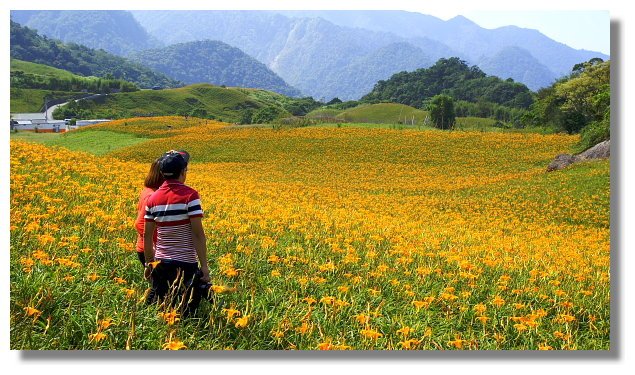花蓮富里六十石山