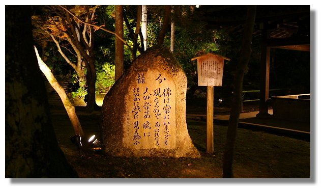 京都永觀堂夜楓