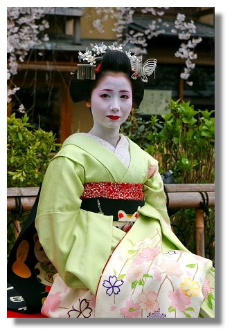 京都藝妓