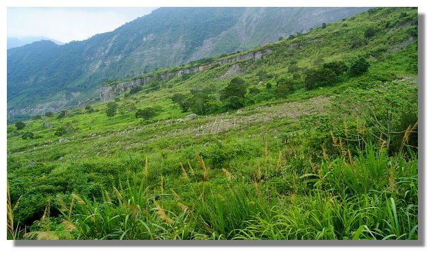 草嶺921國家地震紀念地