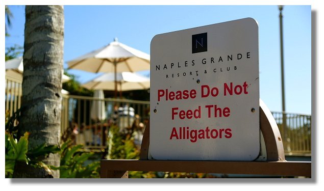 Naples Grande Beach Resort