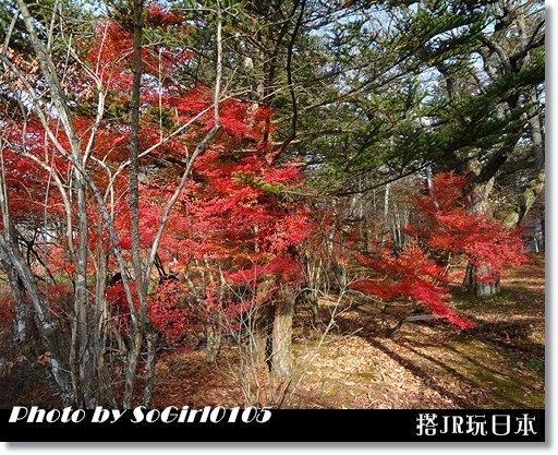 搭JR玩日本