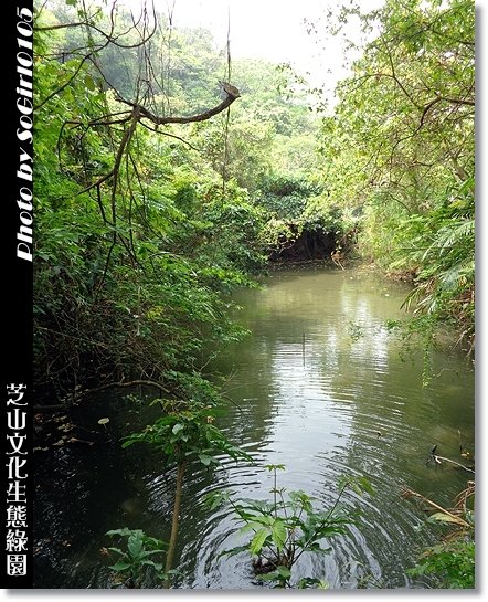 芝山文化生態綠園