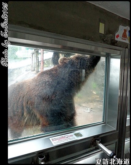 夏訪北海道