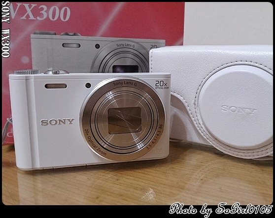 SONY WX300