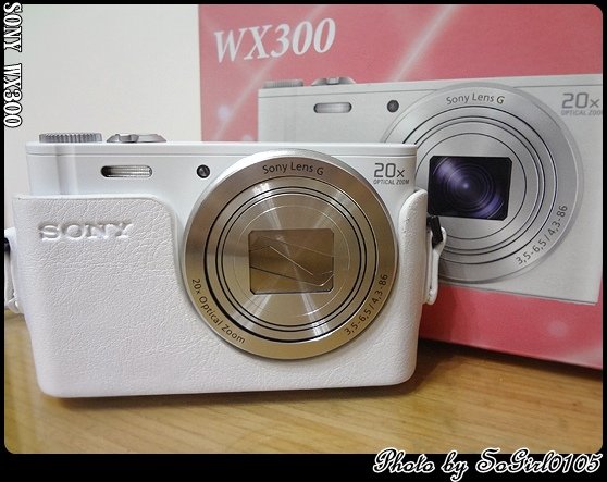 SONY WX300