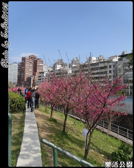 樂活公園