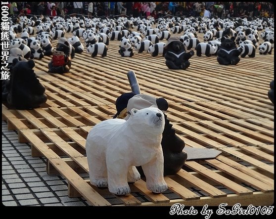1600貓熊世界之旅