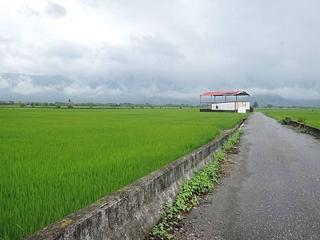 DSCN1553