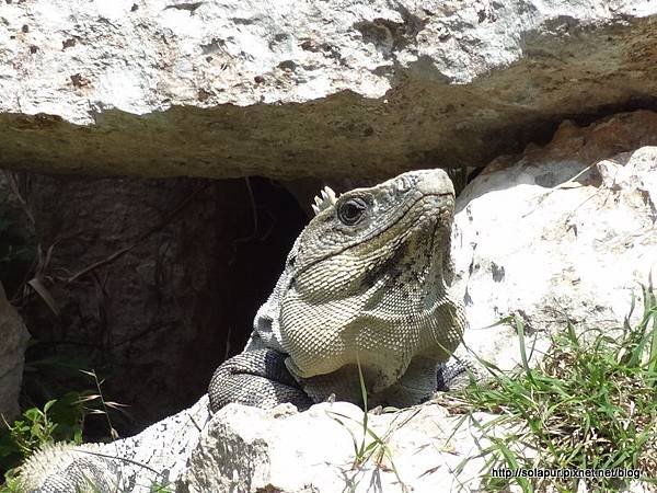 Uxmal (106)