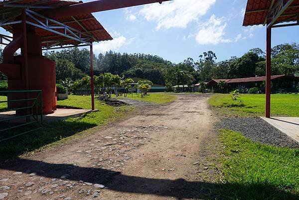 Restaurante y Cafeteria plaza del Cafe