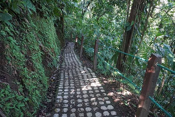 Hanging bridges (3)