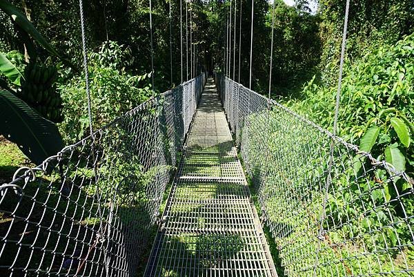 Hanging bridges (2)