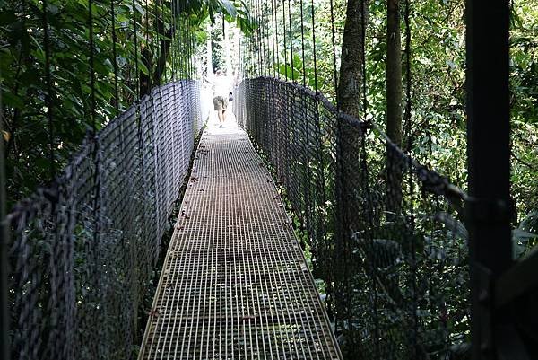 Hanging bridges (19)