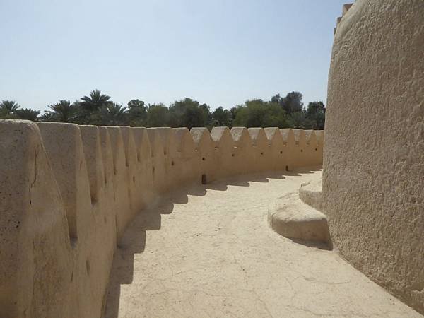 Al Jahili Fort (19)