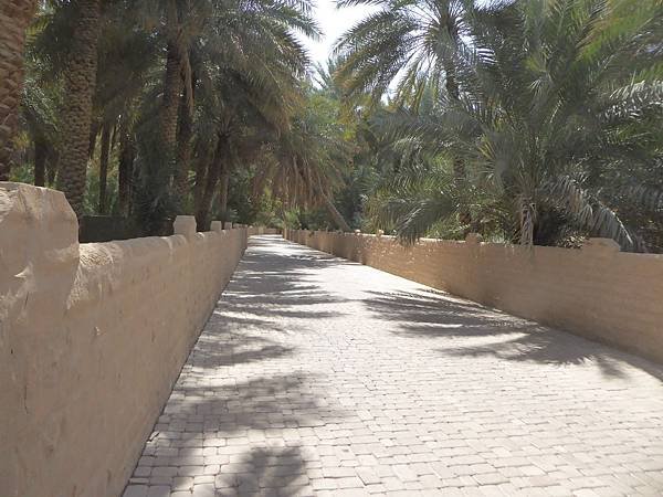 Al Ain Oasis