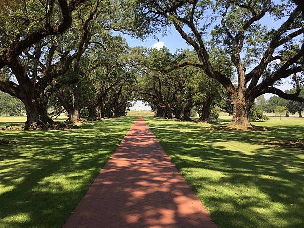 Oak Alley Plantation (63).JPG