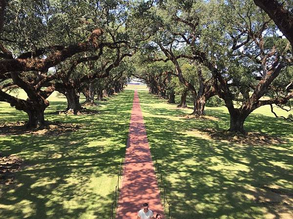 Oak Alley Plantation (71).JPG