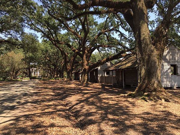 Oak Alley Plantation (36).JPG