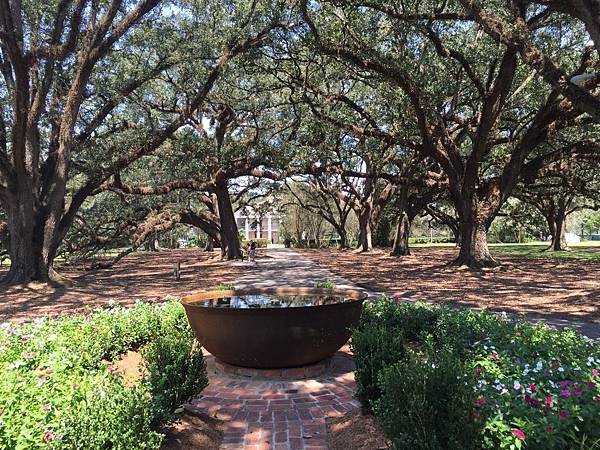 Oak Alley Plantation (55).JPG