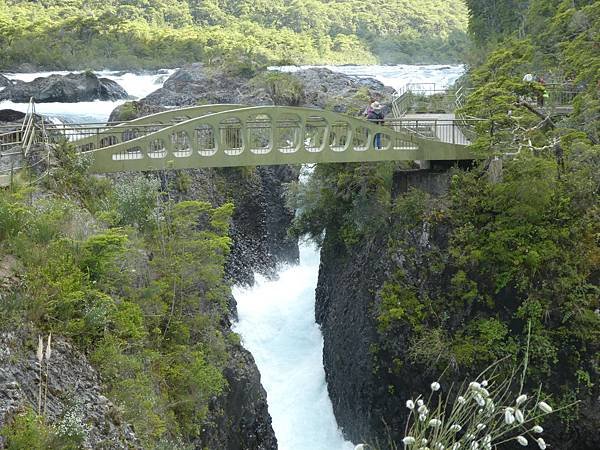 Saltos del Rio Petrohue (26).JPG