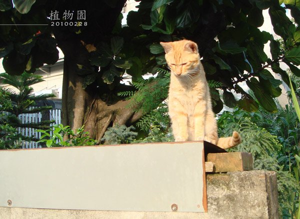 植物園_990228-003.jpg