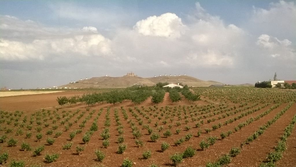 Consuegra