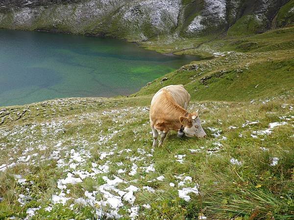 Bachalpsee-Faulhorn