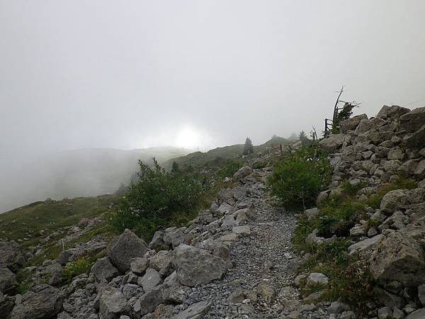 Laucherhorn-Schynige Platte