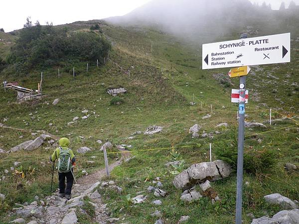 Laucherhorn-Schynige Platte