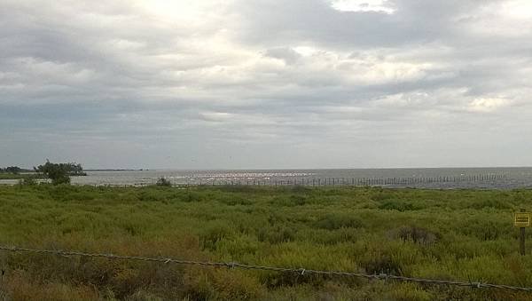 182 140917 Camargue.jpg