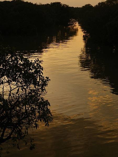 191 161013 Tonle Sap Lake.JPG