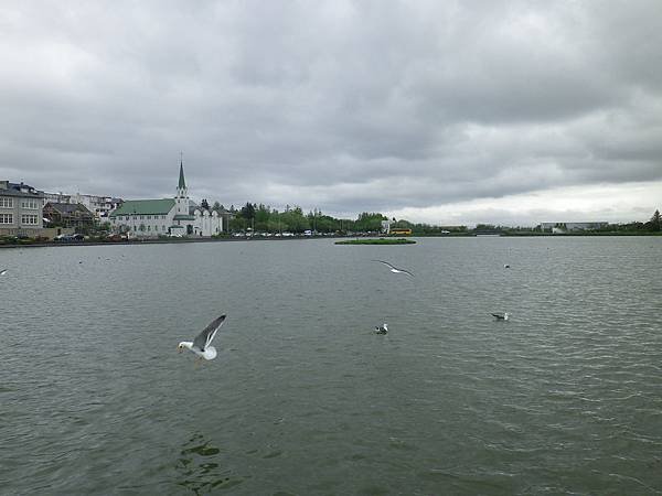 186 160605 Reykjavik-Tjörnin.JPG