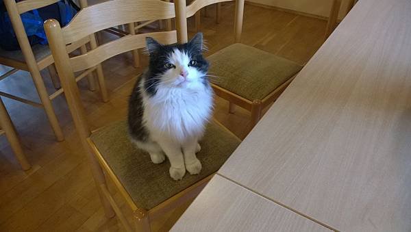 001 160612 Höfn YH.jpg