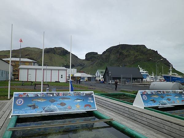 018 160613 Vestmannaeyjar-Harbour.JPG