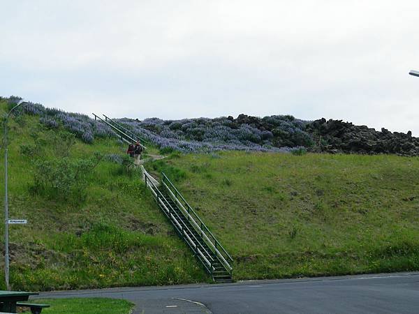 020 160613 Vestmannaeyjar.JPG