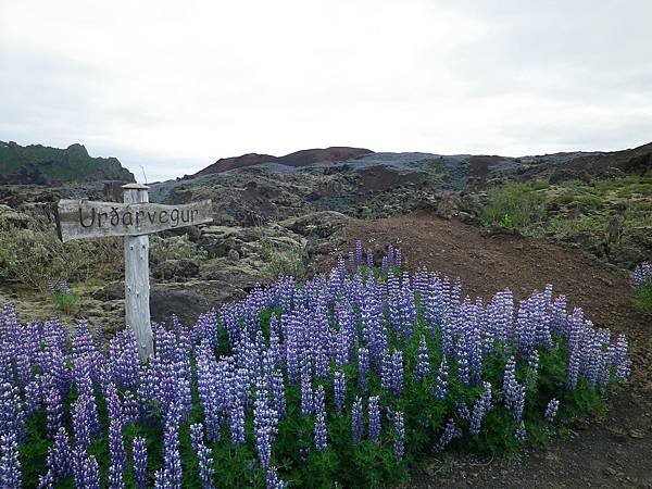 041 160613 Vestmannaeyjar-Urðarvegur.JPG