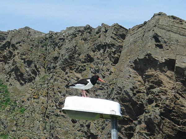 221 160613 Vestmannaeyjar-Golf course.JPG