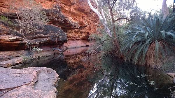 198 160911 Kings Canyon-Garden of Eden.jpg